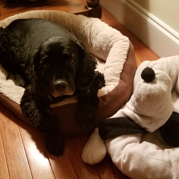 New stuff is fun to get - Picture 1 of 2